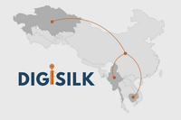 Digital Governance in Southeast and South Asia: A Cross-Country Dialogue