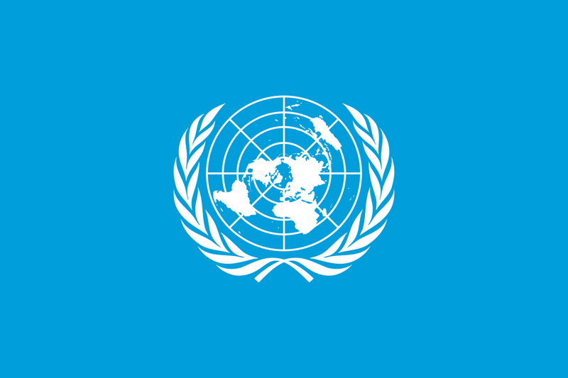 United Nations Convention against Cybercrime
